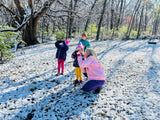 Winter Birdwatching with Kids: DIY Feeders and Tips for Helping Birds Thrive