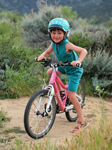#color_evergreen